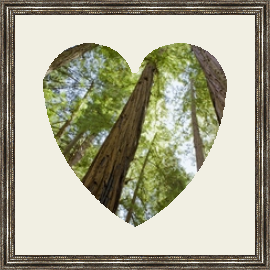 RK CADRES le numéro un encadrement 