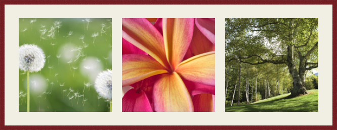 RK CADRES le numéro un encadrement 