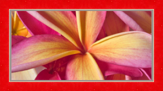 RK CADRES le numéro un encadrement 