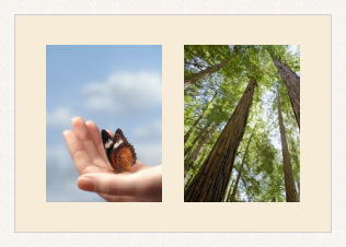 RK CADRES le numéro un encadrement 