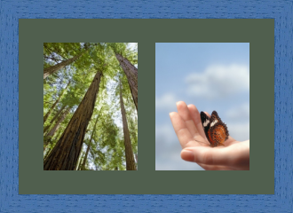 RK CADRES le numéro un encadrement 