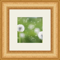 RK CADRES le numéro un encadrement 