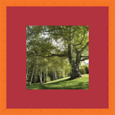 RK CADRES le numéro un encadrement 