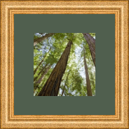 RK CADRES le numéro un encadrement 