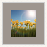 RK CADRES le numéro un encadrement 