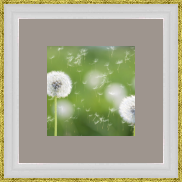 RK CADRES le numéro un encadrement 