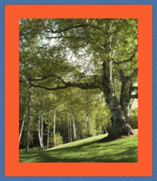 RK CADRES le numéro un encadrement 