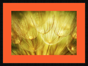 RK CADRES le numéro un encadrement 