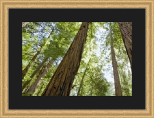 RK CADRES le numéro un encadrement 