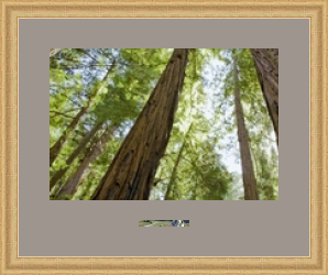 RK CADRES le numéro un encadrement 